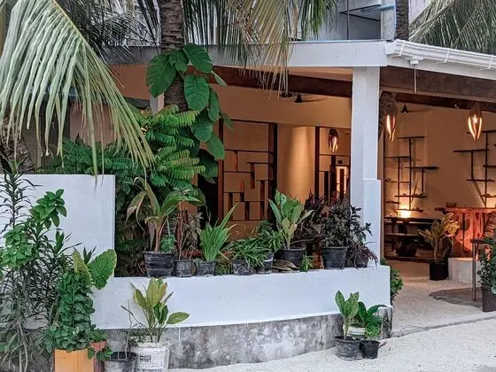 Dhoadhi Retreat - Dış Mekan
