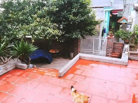 D'Home Homestay Cat Ba - Dış Mekan