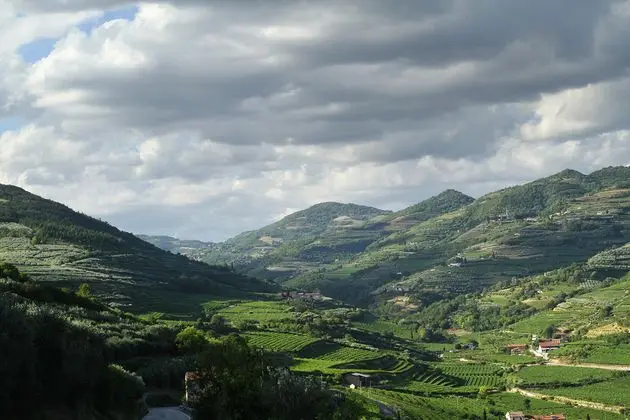 Villa Di Cazzano - Bioluxury Living