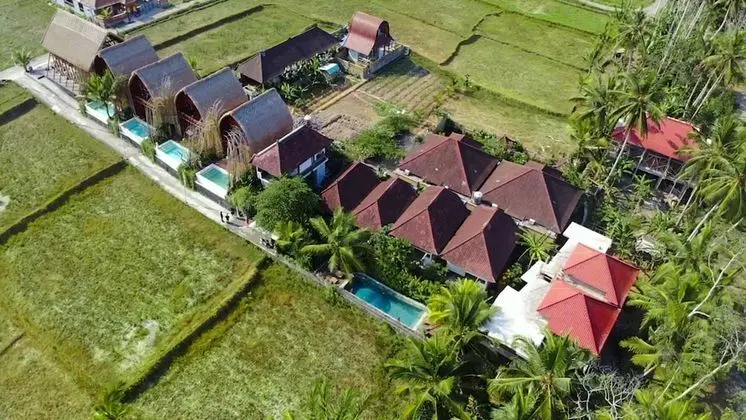 Villa Di Sawah Pejeng