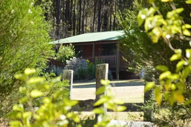Diamond Forest Farm Stay - 1