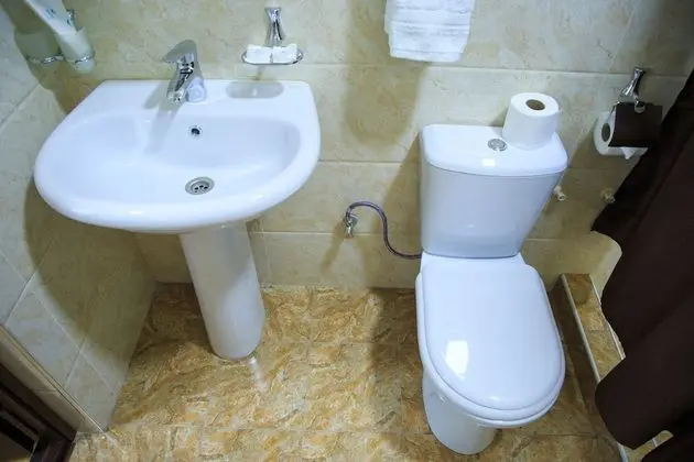 Diamond Tashkent Hotel - Banyo Tipleri
