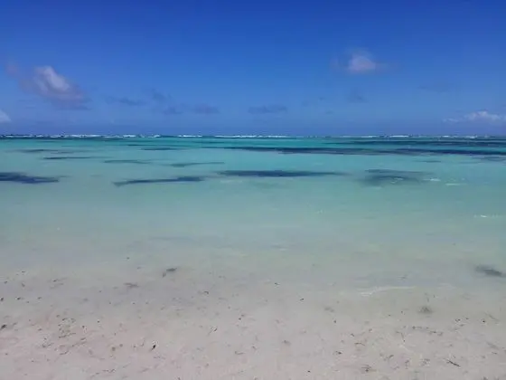 Villa Diane in Bavaro in the Near of Punta Cana - Mülk Olanakları
