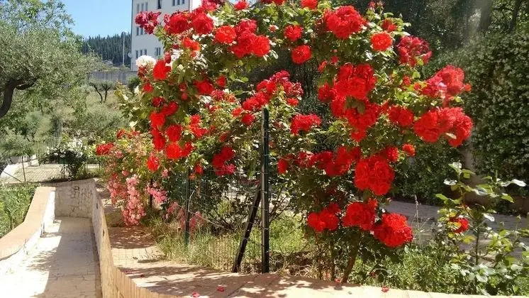 Dianum Villa degli Ulivi - Dış Mekanlar