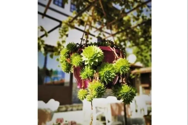 Dibekönü Konak - Manzara / Peyzaj