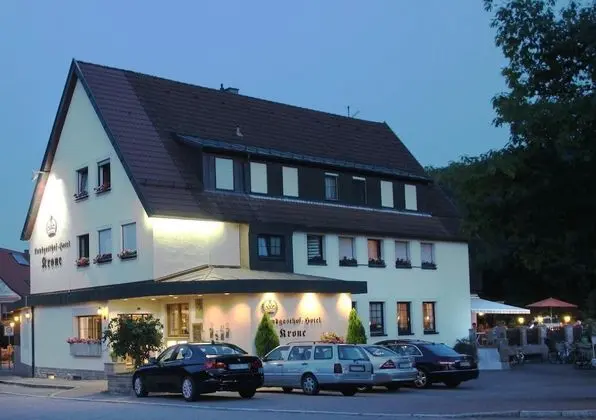 Die Krone am Fluss - Landhotel Sindringen - 1