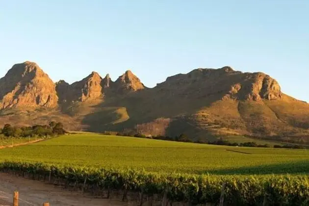 Dieu Donne Boutique Guest House Stellenbosch - Dış Mekan