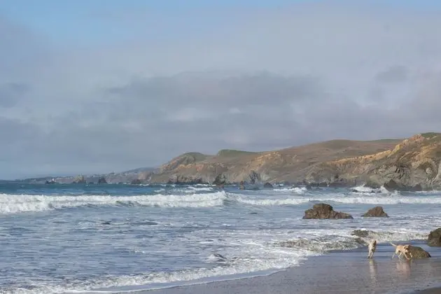 Dillon Beach Resort - Plaj