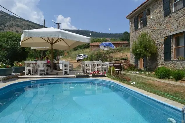 Dimitri Ada Evi