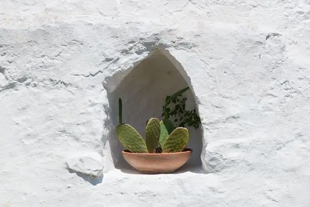 Dimora Il Calaprico by Wonderful Italy - Dış Mekan