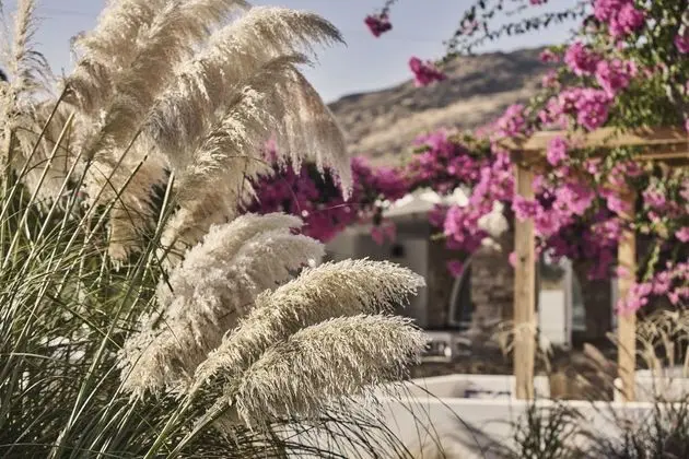 Dionysos sea side resort - Dış Mekan