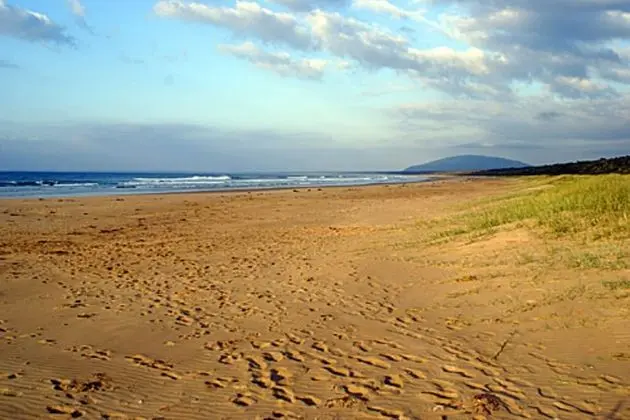 Discovery Parks – Gerroa - Plaj