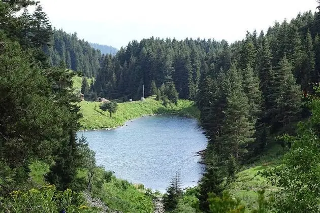 Disharo Yayla Evleri