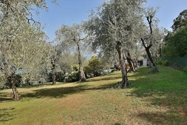 Villa Dismero With Pool - Dış Mekan