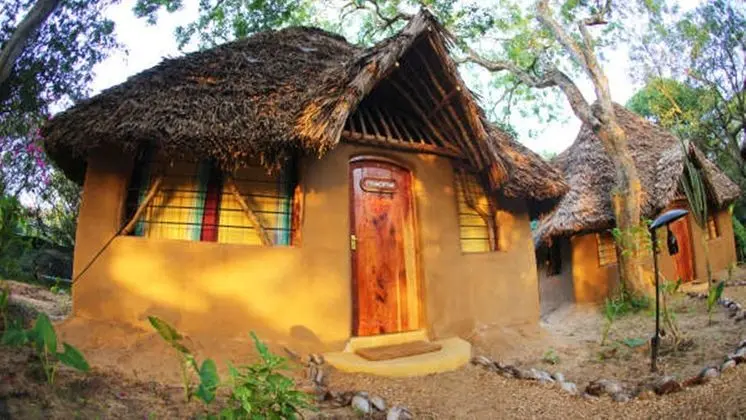 Distant Relatives Ecolodge & Backpackers