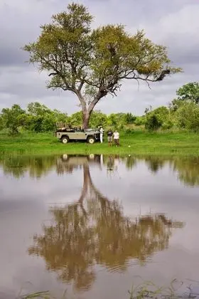 Distinctly Africa - Manyeleti