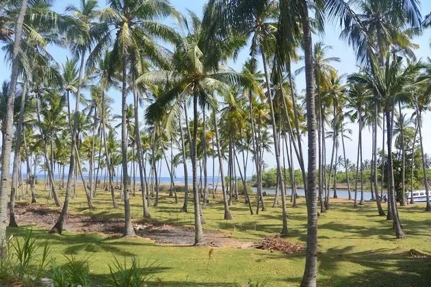 Diva Lombok Resort - Plaj