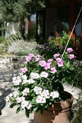 Diva Residence Hotel - 7