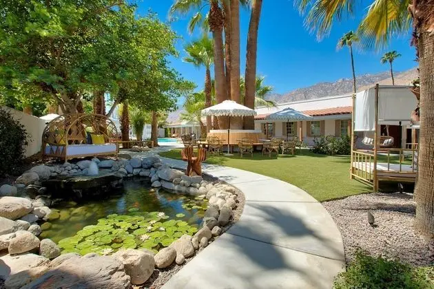 Dive Palm Springs - Öne Çıkan Resim