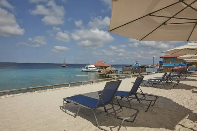 Divi Flamingo Beach Resort & Casino - Plaj