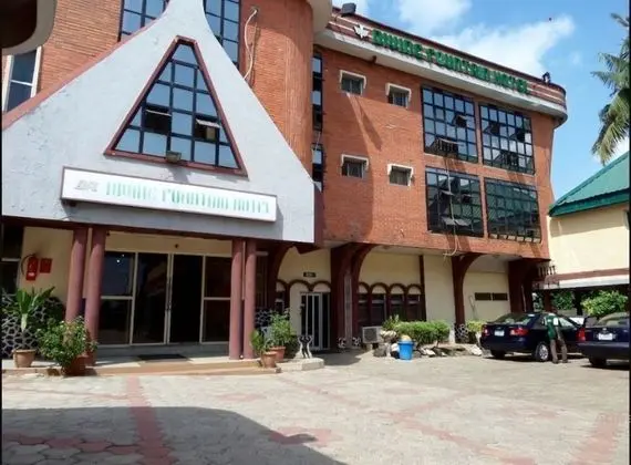 Divine Fountain Ajao