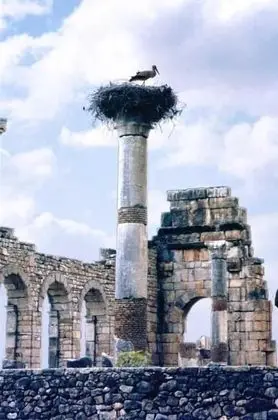 Diyar Timnay - Dış Mekan