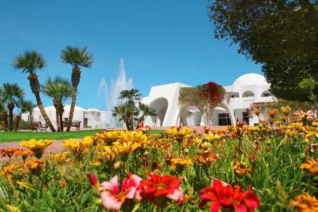 Djerba Plaza Thalasso & Spa - Genel