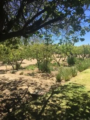 DKC Accommodation - Dış Mekan
