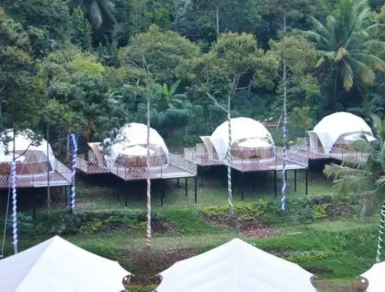 Dmangku Farm Serang