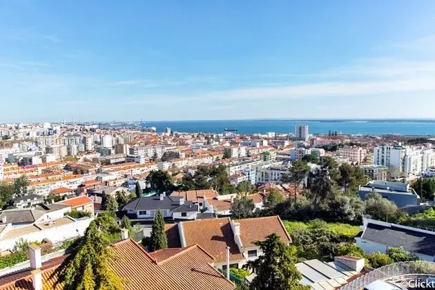 Do Sado Business & Nature