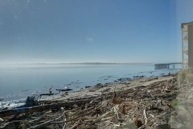 Dock of The Bay #203 - Plaj