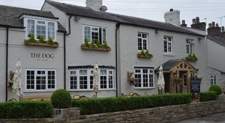 The Dog in Over Peover