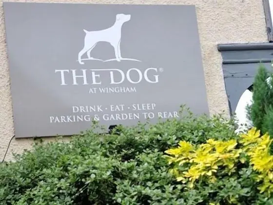 The Dog at Wingham - Dış Mekan