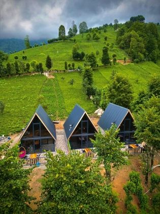 Doğal Life BungalovFotoğrafı