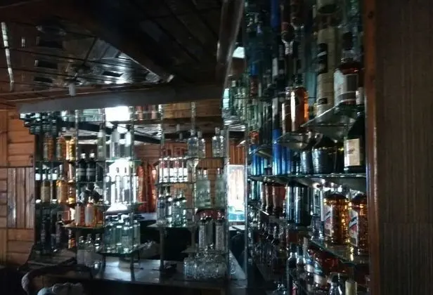 Hotel Dogra Residency Bar and Resturant - Bar