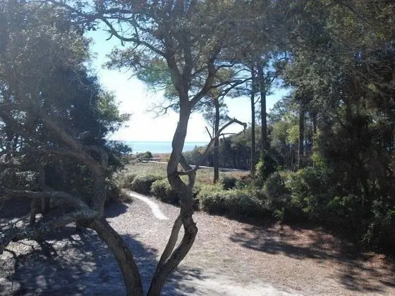 Dogwood 9 - Dış Mekan