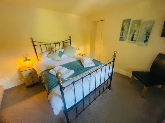 Dolgun Uchaf Guesthouse - Oda