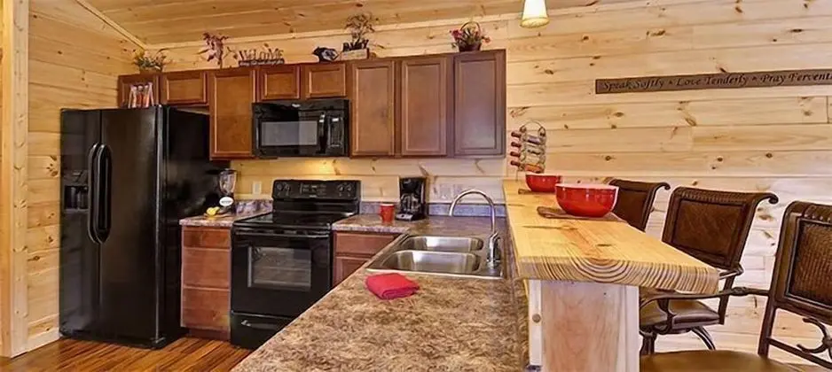 Dollywood Cabins - Mutfak
