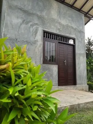 Dollyz Home - Dış Mekan