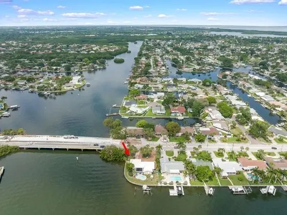 Dolphin Bayou