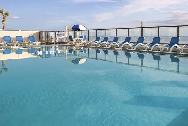 Dolphin Beach Club - Havuz
