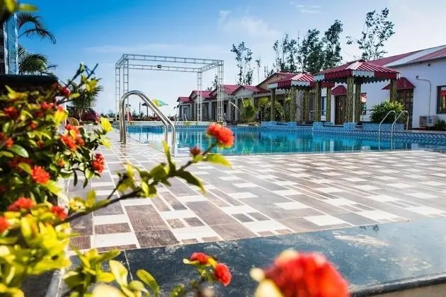 Dolphin Beach Resort - Havuz