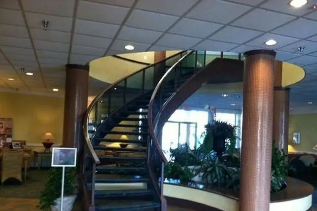 Dolphin Beach Resort - Lobi