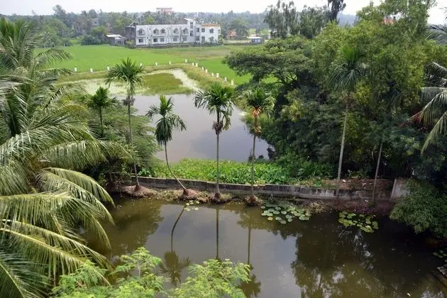Hotel Dolphin - Bhakkhali