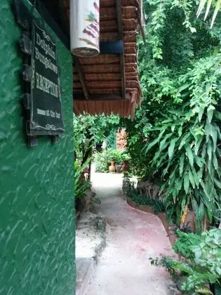Dolphin Bungalows - Dış Mekan