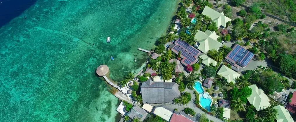Dolphin House