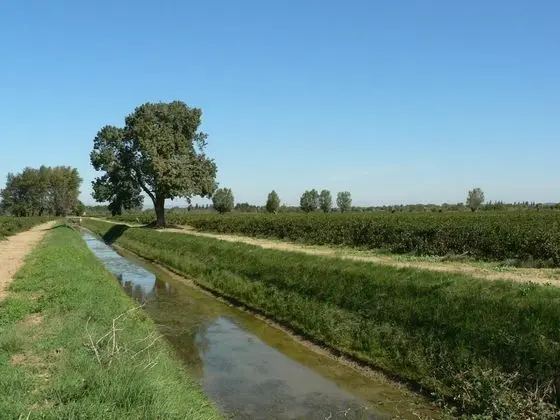 Domaine Beaupré - Dış Mekan