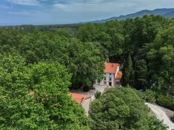 Domaine Castell de Blés - Dış Mekan