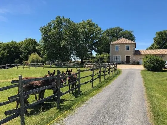 Domaine de Chalamard - Chambres d'hôtes - Öne Çıkan Resim