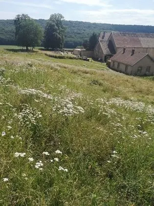 Domaine de Fontenelay - Lobi